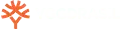 yggdrasil